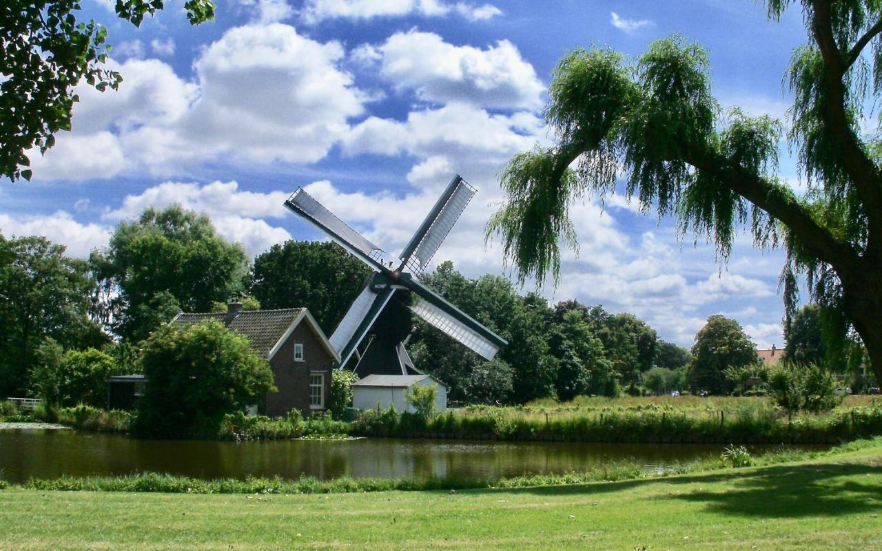 Bed & Breakfast Tegenover De Molen Haarlem Exteriér fotografie